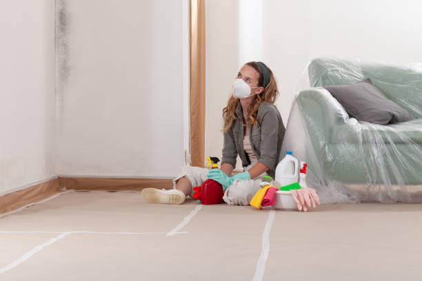 Reliable Bathroom Mold Removal contractor in Schoolcraft, MI by Mold Remediation HQ